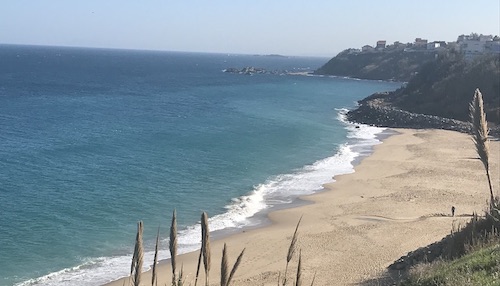 thumbnail_UNADJUSTEDNONRAW_thumb_10b